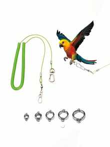 6pcs Extendable Bird Flight Training Leash Set, Includes 5 Size Anti-Bite Foot Rings, Elastic Buffer Anti-Escape, Suitable For Parrots, Cockatoos, Lovebirds, Macaws Outdoor Flight Training To Prevent Loss, Applicable For Yard, Park Bird Walking, Also A Thoughtful Gift For Bird Owners - Multicolor - View 7