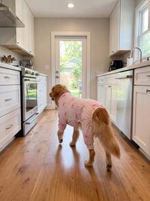 Dog Summer Shedding Hair Control Pajamas - Breathable High Stretch Full Coverage Pet Rompers, Summer Anti Licking & Bug Protective Jumpsuit For Medium Large Dogs, All Over Printing Dog Clothes - Cute Pin Stripe Bow Pattern - Multicolor - View 7