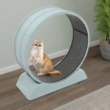Cat Exercise Wheel Cat Running Wheel Running Wheel For Cats - Blue - View 3