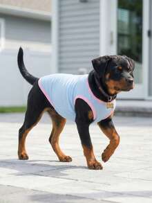 Dog Tank Top, Dog Vest, Soft & Breathable Pet Summer T-Shirt, Stretchy Sleeveless Athletic Tank Top Clothing For Running Walking, Dog Apparel For Small Medium And Large Breed - Blue With Pink - Multicolor - View 1
