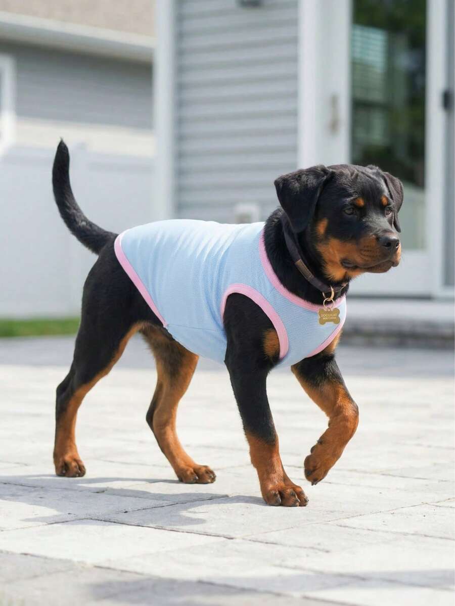 Dog Tank Top, Dog Vest, Soft & Breathable Pet Summer T-Shirt, Stretchy Sleeveless Athletic Tank Top Clothing For Running Walking, Dog Apparel For Small Medium And Large Breed - Blue With Pink - Multicolor - View 1