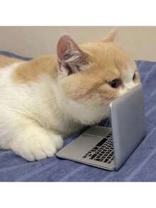 1 món đồ chơi mini hình laptop độc quyền dành cho thú cưng, đồ chơi nhỏ gọn, di động, giống thật cho mèo con. - Bạc - Xem 4