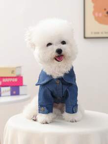PETCIRCLE 1pc Pet Clothes, Dog Apparel Spring/Summer New Breathable Durable Dirt-Resistant Small Dog Outfit - Unique Jacket - Blue - View 3