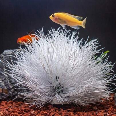 Artificial White Lily - Polyethylene Aquarium Decor, Suitable For Fish Tanks, Ideal For Creating Underwater Scenes, Fish Tank Decoration | Natural Decor | Aquatic Plant, Fish Tank Decoration