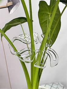 1个植物支架，坚固的攀援植物茎夹，藤蔓固定器，室内花茎固定器，塑料园艺工具，适用于攀援植物，可用于露营/婚礼/花园装饰/卧室装饰/房间装饰/家居装饰/秋季装饰/情人节/复活节 - 多色 - 查看 9