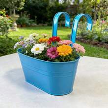 1/5/10个装金属桶花盆 - 乡村风格阳台壁挂式花盆，带把手，室内外花园装饰 - 彩色 - 查看 23