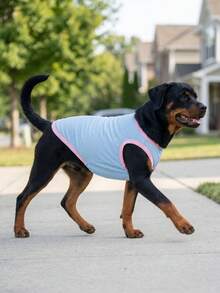 Dog Tank Top, Dog Vest, Soft & Breathable Pet Summer T-Shirt, Stretchy Sleeveless Athletic Tank Top Clothing For Running Walking, Dog Apparel For Small Medium And Large Breed - Blue With Pink - Multicolor - View 8