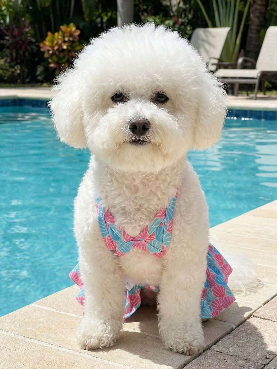 2pcs/Set Pet Shell Bikini Set, Dog/Cat Halter Neck Tie Two Pieces Swimwear, Summer Cooling - Multicolor - View 1