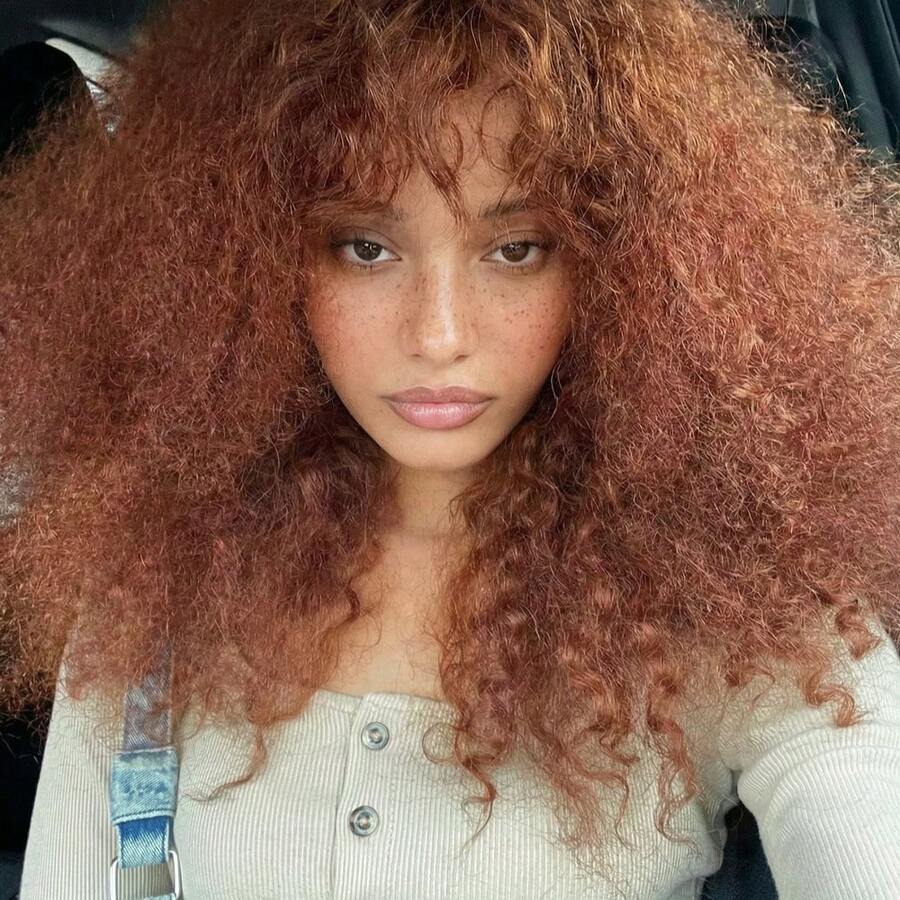 20 Inch Chestnut Brown Curly Wig: Heat Resistant Synthetic Fiber, Easy Styling For Daily Wear - Brown - View 1