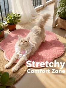 1 件装猫咪梳理垫，猫窝垫，自掉毛设计，底部防滑，四季皆宜，适合大、中、小型猫咪，耐用材质，猫窝，猫垫，猫咪梳理用品，完美宠物礼物 - 彩色 - 查看 1