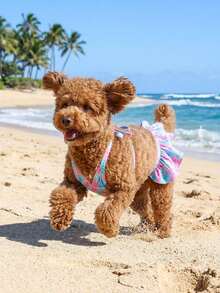 2件套宠物贝壳比基尼套装，狗狗/猫咪挂脖系带两件式泳衣，夏季清凉 - 彩色 - 查看 2