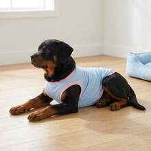 Dog Tank Top, Dog Vest, Soft & Breathable Pet Summer T-Shirt, Stretchy Sleeveless Athletic Tank Top Clothing For Running Walking, Dog Apparel For Small Medium And Large Breed - Blue With Pink - Multicolor - View 7
