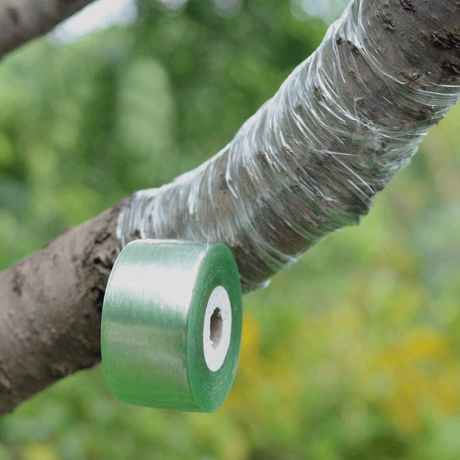 YITAPE 1 Roll High Quality Self-Adhesive Grafting Tape - 1.18 Inch Wide, Durable Plastic, No Tying Required, Suitable For Fruit Tree Seedlings And Transplanting Tape, Fruit Tree Transplanting Tool