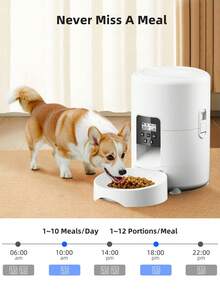 1个全新USB供电智能宠物喂食器，67盎司大容量，支持2.4GHz WiFi，APP控制，时尚创新设计，适用于猫狗的宠物用品 - 2公升 - 查看 6