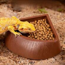 Reptile Feeding Bowl, Tortoise Water Bowl, Lizard & Frog Feeding Tray, Pet Drinking Water Dish, Pet Food Container - Black - View 5