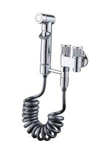 2-In-1 Toilet Flushing Spray Gun, Dual Control Toilet Bidet Sprayer - Silver - View 1