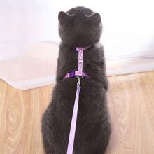 Arnés para gato con hebilla en forma de L, cierre cómodo de poliéster para pasear - Multicolor - Ver 2