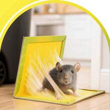 10 TRAMPAS PARA RATONES, RATAS, PEGAMENTO FUERTE, PEGAMENTO FUERTE, YESO CON SABOR, COMPRAR TRAMPA, Trampa pegajosa pequeña para insectos. - B - View 5