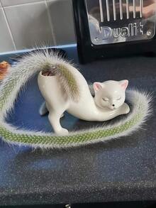 1个白色小巧创意卡通猫形花盆，可作多肉植物盆栽容器、化妆刷架，宠物爱好者礼物，适用于花园、阳台、庭院、卧室、浴室、桌面置物架等，可爱简约风格 - 屁股貓 - 查看 3