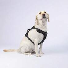 1 pièce Harnais de poitrine multifonctionnel pour chien de taille moyenne/grande, harnais de poitrine pour chien léger, design respirant et réfléchissant, structure facile à enfiler et à enlever - Noir - Voir 4