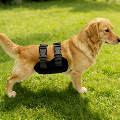 Pantalones fisiológicos para perros machos, duraderos y lavables, para prevenir fugas y acoso para uso en exteriores