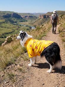 Áo thun thể thao cho chó mùa hè - Quần áo mùa hè thoáng khí, nhẹ cho chó nhỏ, vừa và lớn, áo thun in họa tiết toàn thân - Họa tiết chim - Nhiều màu - Xem 4