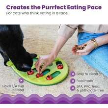 Catstages By Nina Ottosson Melon Madness Puzzle & Play – Interactive Treat Puzzle Feeder For Cats, 12 Hidden Treat Compartments Slow Feeder, Durable & Easy-Clean, 10 Inches, Pink - 出局 - 查看 4