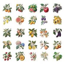 50张透明复古花卉美学植物贴纸，防水贴纸，适用于笔记本电脑、滑板、水瓶等。 - Z - 查看 4