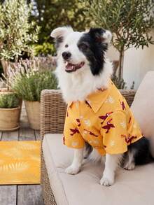 Áo thun thể thao cho chó mùa hè - Quần áo mùa hè thoáng khí, nhẹ cho chó nhỏ, vừa và lớn, áo thun in họa tiết toàn thân - Họa tiết chim - Nhiều màu - Xem 10