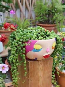 5 Inch Abstract Rainbow Flower Female Face Cute Colorful Planter, Unique Succulent Plant Pot, Suitable For Indoor And Outdoor Plants, Fun Home Garden Decor - A - View 7