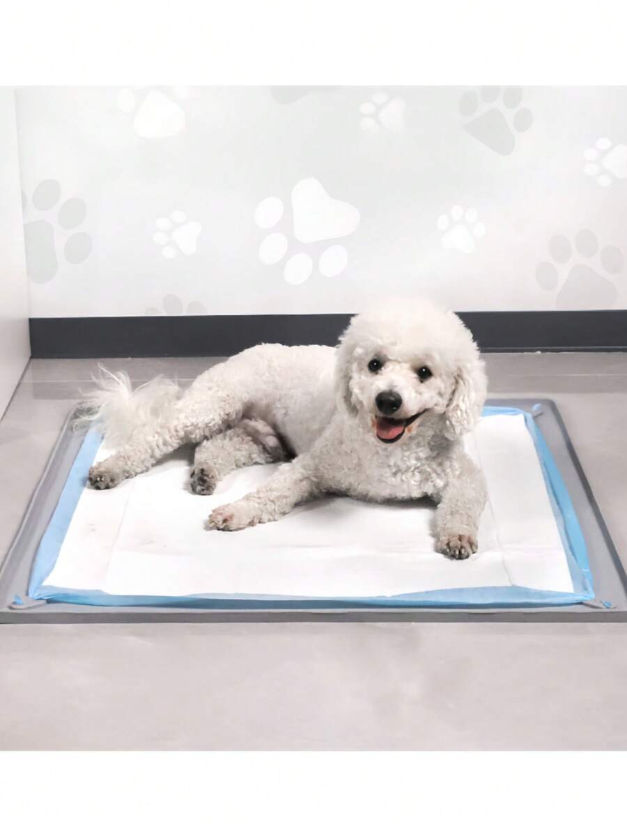 Almohadilla de entrenamiento para mascotas de silicona lavable y reutilizable, alfombra impermeable para perros - Multicolor - Ver 1