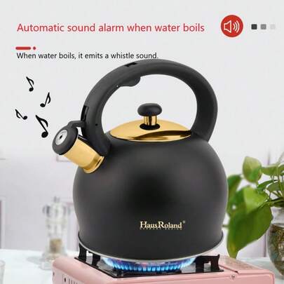 Haus Roland Hausroland 3L Stainless Steel Bottom Whistling Kettle, Suitable For Gas Stove, Induction Cooktop