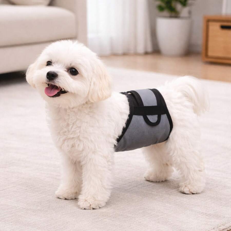 Pantalones fisiológicos para perros machos, pantalones de cortesía para perros con características anti-acoso, anti-celo y anti-apareamiento, suministros para mascotas - Gris - Ver 1