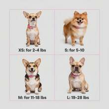 Pink Rhinestone Studded Luxury Style Pet Collar And Leash Set, XS-L - Pink - View 4