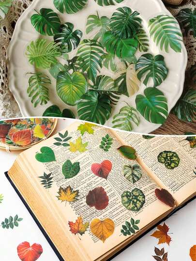 40 Hình dán mỗi tờ - Hình dán lá cây: Hình dán trang trí lá phong và lá Monstera. Lý tưởng cho sổ kế hoạch tự làm, album ảnh và đồ thủ công. Hoàn hảo để trang trí nhật ký, làm nhãn ghi chép, trang trí tiệc mùa hè và trang trí theo chủ đề Hawaii.