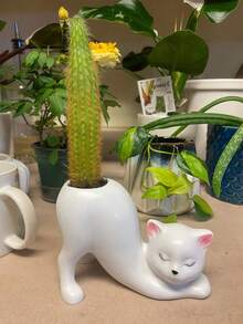 1个白色小巧创意卡通猫形花盆，可作多肉植物盆栽容器、化妆刷架，宠物爱好者礼物，适用于花园、阳台、庭院、卧室、浴室、桌面置物架等，可爱简约风格 - 屁股貓 - 查看 10
