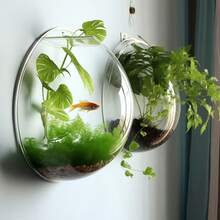 現代圓形壁掛式垂直容器 - 透明塑料室內/室外花盆與水族缸、花盆、牆面裝飾、花籃、壁掛式花籃、易於種植綠色植物、壁掛式花瓶、懸掛式 - A - 查看 2