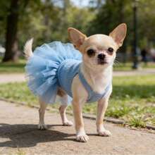 1pc Pet Dog Dress, Elegant Ballet Tulle Skirt Party Dress, Romantic Princess Dress, Suitable For Small Dogs & Cats, Lightweight For Spring/Summer - Multicolor - View 11