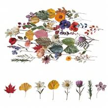 50张透明复古花卉美学贴纸，防水植物贴纸，适用于笔记本、笔记本电脑、滑板、水瓶 - B - 查看 6