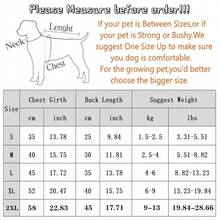 1件孔雀蓝/黄绿/红/灰宠物抓绒毛衣，休闲风格柔软抓绒面料长袖套头衫，配有皮革标签和内置牵引环设计，保暖舒适，适合日常散步和秋冬季室内穿着。 - 彩色 - 查看 2