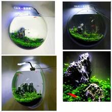 現代圓形壁掛式垂直容器 - 透明塑料室內/室外花盆與水族缸、花盆、牆面裝飾、花籃、壁掛式花籃、易於種植綠色植物、壁掛式花瓶、懸掛式 - A - 查看 5