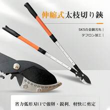 園芸用ハサミ   はさみ 剪定ばさみ 剪定鋏 園芸 樹 庭 木 花園 生け花 果樹 林業  園芸家&造園家 - ブラック(格納式) - チェックする 10