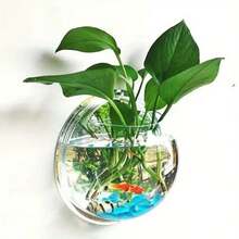 現代圓形壁掛式垂直容器 - 透明塑料室內/室外花盆與水族缸、花盆、牆面裝飾、花籃、壁掛式花籃、易於種植綠色植物、壁掛式花瓶、懸掛式 - A - 查看 7