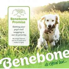 Benebone 2-Pack Wishbone/Dental Durable Dog Chew Toys, Dog Toys For Aggressive Chewers, Real Bacon, Made In USA, Medium - Xương cá nhỏ/Xương đòn - Xem 6