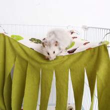 4pcs Sugar Glider Double-Deck Hammock Hideaway Tunnel Pad Set, Suitable For Small Pets Like Hamsters, Rabbits, Sugar Gliders, Guinea Pigs, Thin Design For Spring/Summer - Multicolor - View 15