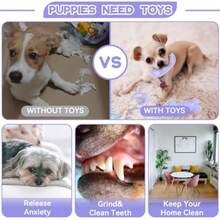 Petcare - Paquete de 6 juguetes masticables para cachorros para dentición lindos juguetes morados juguetes para perros pequeños cuerda de goma suave juguetes divertidos para perros bolas de - Púrpura - Ver 6
