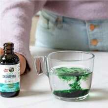 Mary Ruth's Vegan Chlorophyll Liquid Drops - Non-Diluted Liquid Chlorophyll - Mulberry Derived Supplement - Non-GMO - Delicious Minty Flavor - 2 Fl Oz - 1瓶 - 查看 10