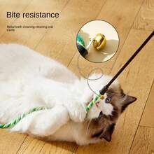 Realistic Feather Interactive Cat Toy With Ribbon & Bell, Cat Wand Toy, Cat Supplies Accessories - View 1