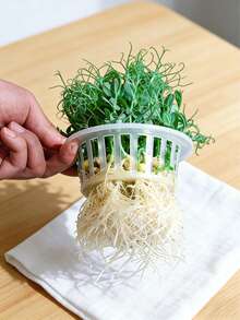 10个装水培蔬菜种植篮，种植篮，塑料花盆，适用于家庭阳台园艺和苗圃水培，育苗盘，室内植物盆栽，园艺用品 - 多色 - 查看 11