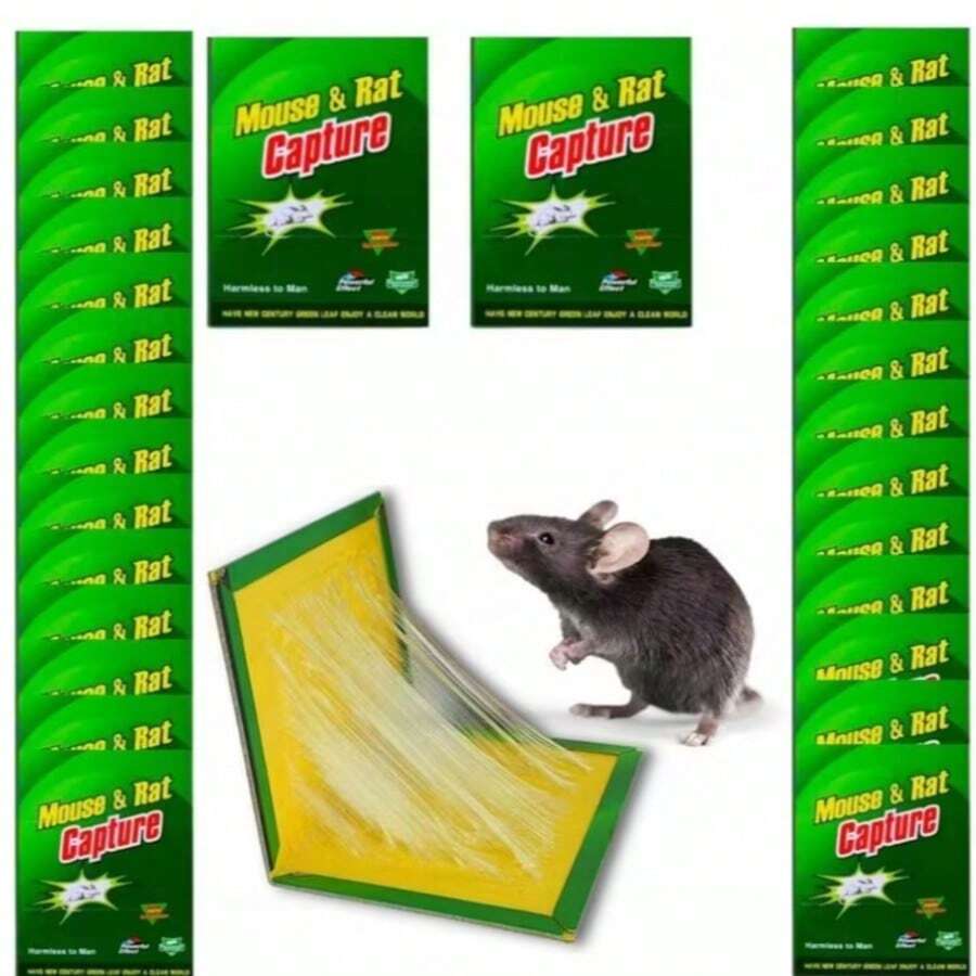 10 TRAMPAS PARA RATONES, RATAS, PEGAMENTO FUERTE, PEGAMENTO FUERTE, YESO CON SABOR, COMPRAR TRAMPA, Trampa pegajosa pequeña para insectos. - B - View 1